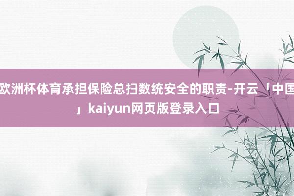 欧洲杯体育承担保险总扫数统安全的职责-开云「中国」kaiyun网页版登录入口
