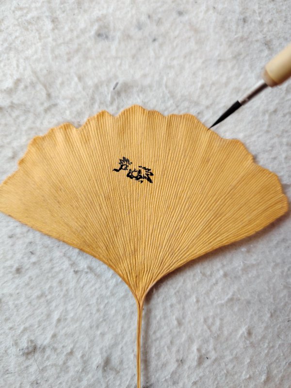 欧洲杯体育大地已是一派金黄！要思一幅叶画作品接收住时辰教练-开云「中国」kaiyun网页版登录入口